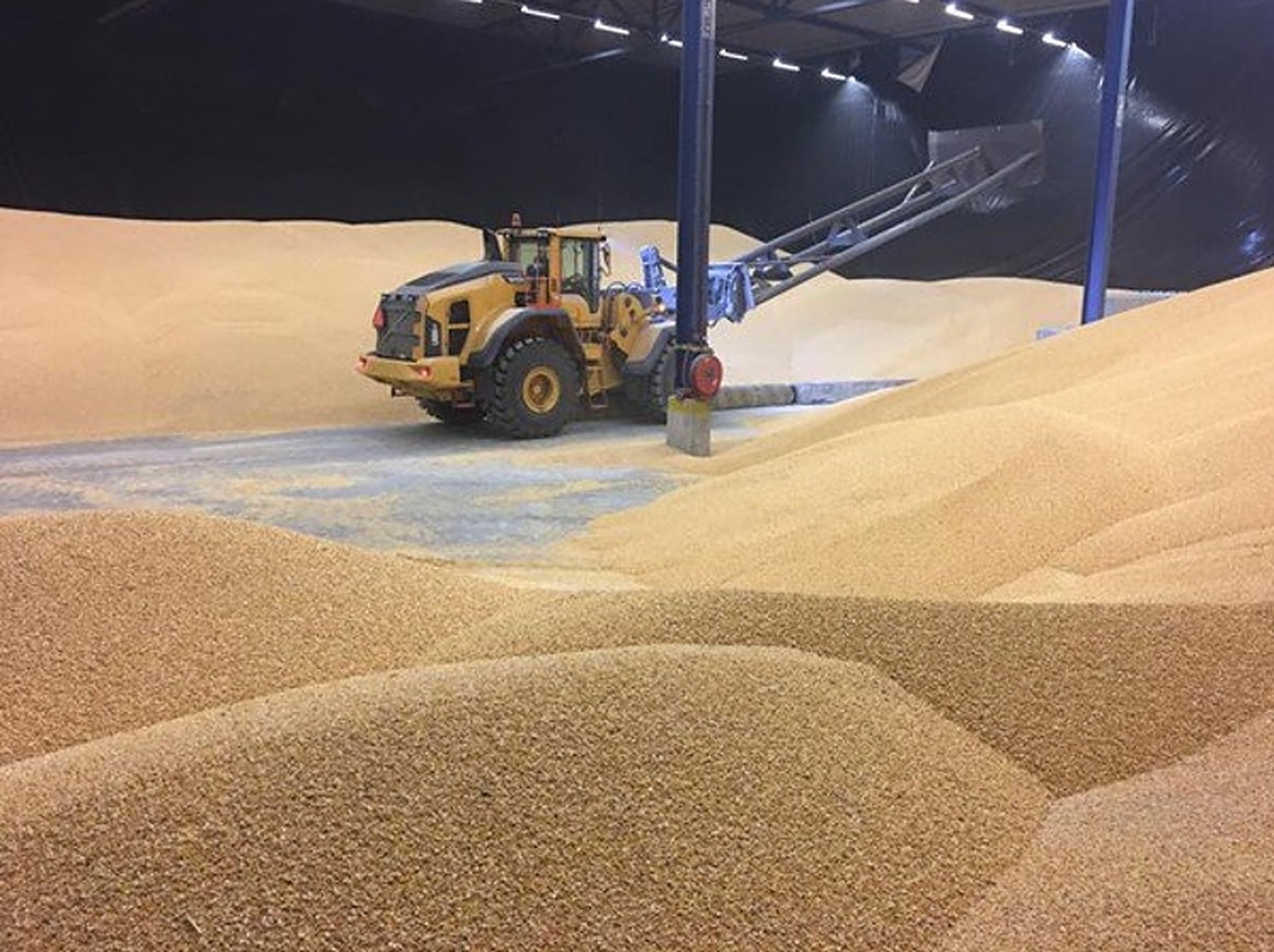 2022-12-20%2015%2031%2003.v1